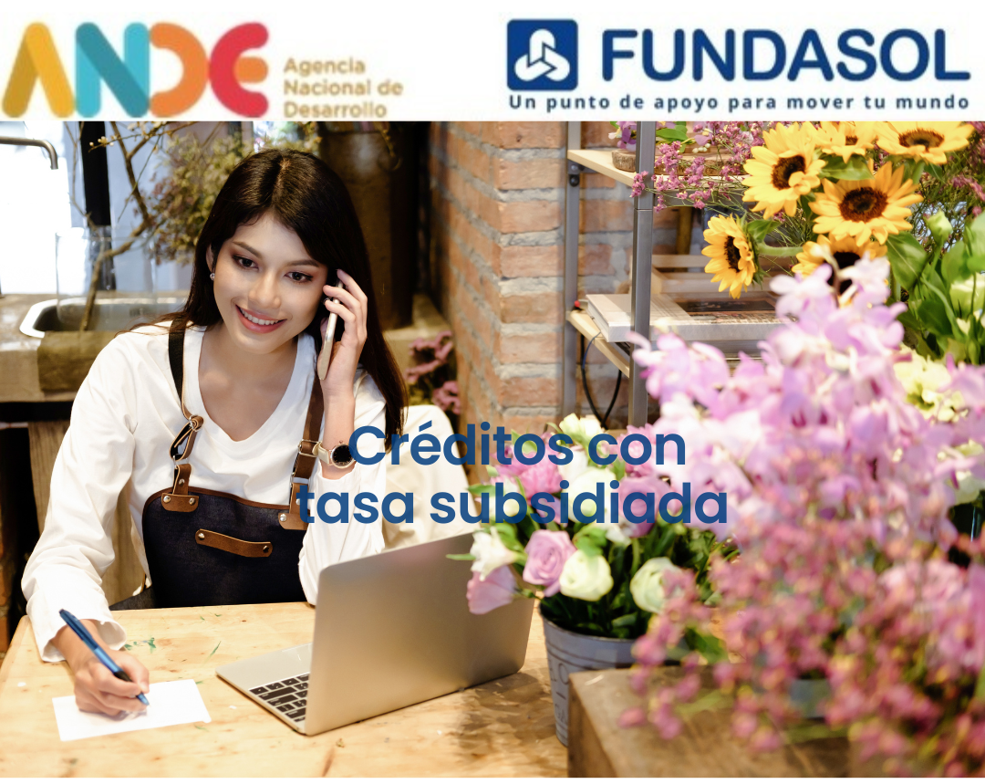 Créditos con tasa subsidiada – ANDE