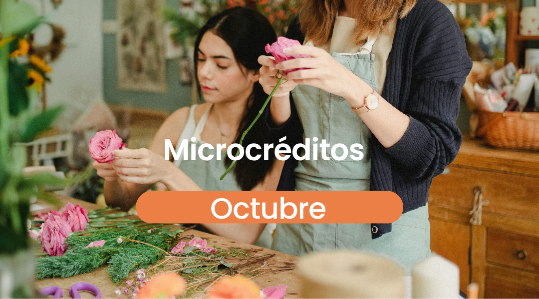 Estos son algunos de los microcréditos que podés solicitar en el mes de octubre